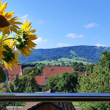 شقة Patricia Bischofsheim an der Rhön